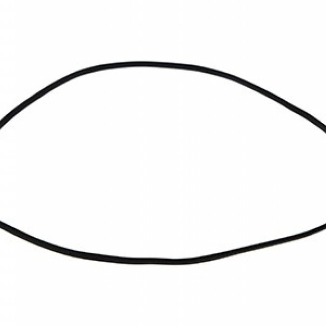 Clutch Cover Gasket Prox KTM SX250 17-22 EXC250/EXC300 17-22