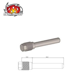 Parafuso Pastilha Travão Frente MOTO MASTER GasGas/ Kawasaki