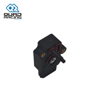 Sensor TPS, Mapas e Temperatura QR Segway Snarler AT6